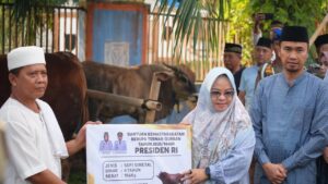 Presiden Salurkan Bantuan Sapi Kurban untuk Masjid Jami’ Arriyadh Mesuji