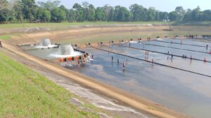 Waduk Kolam Tando Gunung Bubut kembali bersih setelah dibersihkan selama 3 hari